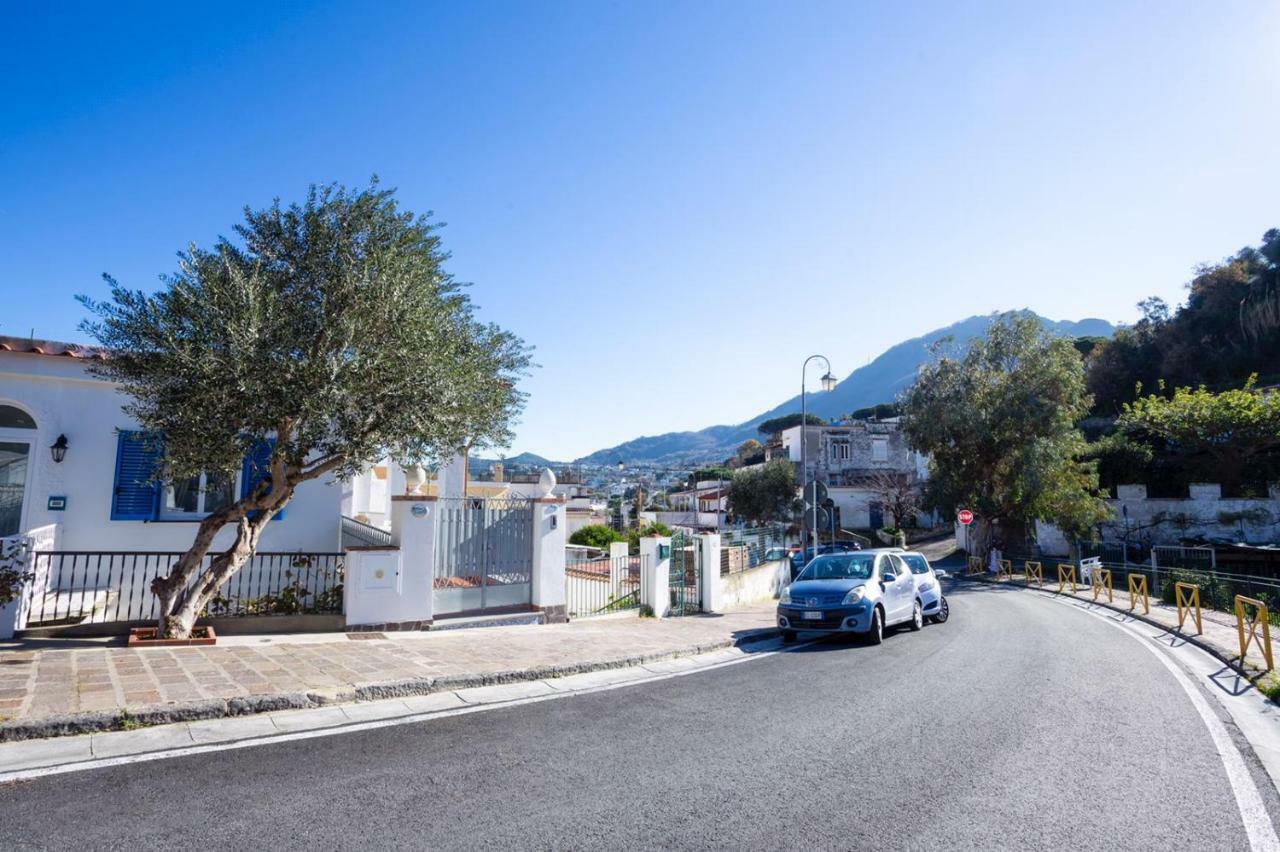 Appartamento Casa Restituta Lacco Ameno  Esterno foto